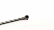 Gasfeder für Motorhaube Audi Q5 (8R) 8R0823359A