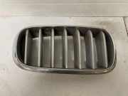 Vorderer oberer Gitter BMW X5 (F15, F85) M 50 d 7316076