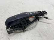 Türaußengriff hinten links