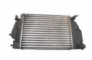 Ladeluftkühler NISSAN X-TRAIL (T32_) 1.6 dCi ALL MODE 4x4-i (NT32) 14461-4BE0A