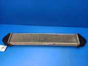 Ladeluftkühler Mercedes-Benz B-Klasse Sports Tourer (W245) A1695000000