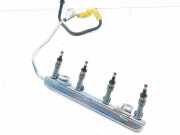 Düsenstöcke Toyota Prius (W5) 2325037080