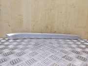 Türpolsterverkleidung vorne rechts SEAT EXEO ST (3R5) 2.0 TDI 3R0867410