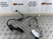 Kabel Tür VW Passat B7 Alltrack (36, B7) 3G0971693F