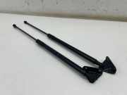 Heckklappe Gasdruckfeder links TOYOTA C-HR (_X1_) 1.8 Hybrid (ZYX10_) 68960F4050