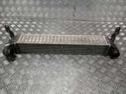 Ladeluftkühler VW Sharan (7M) 7M3145805