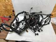 Motor Kabelbaum AUDI A5 Sportback (8TA) 2.7 TDI TAB026053H