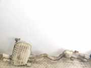 Auspuffanlage hinten BMW Z4 (E85) 7520240