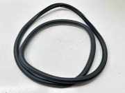 Türdichtung Renault Talisman Grandtour (KP)