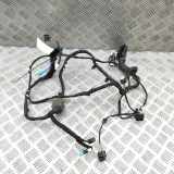 Kabel Tür vorne rechts BMW X5 (G05) xDrive 30 d Mild-Hybrid 5A47901