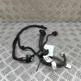 Türverkabelung hinten rechts NISSAN QASHQAI II (J11, J11_) 1.2 DIG-T 24126-HV00D