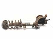 Stoßdämpfer vorne links BMW X3 (F25) xDrive 20 d 6796315 20101111