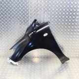 Kotflügel vorne links