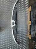 Gitter RENAULT KANGOO (KC0/1_) 1.9 dCi 4x4 8200331208