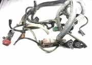 Motor Kabelbaum CITROËN BERLINGO (MF) 1.4 i (MFKFX, MFKFW) 9641560180