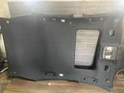 Dachverkleidung INFINITI FX 30d AWD