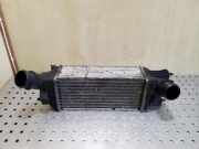 Ladeluftkühler PEUGEOT 407 Coupe (6C_) 2.0 HDi 874823NK 9645682880