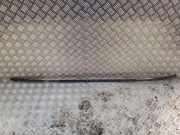 Dachleiste links SKODA FABIA I (6Y2) 1.4 TDI