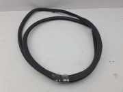 Türdichtung Lexus IS 3 (E3)