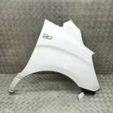 Kotflügel vorne rechts