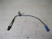 Sauerstoffsensor (Lambdasensor) FORD FOCUS III 1.6 Ti 3M519G444BC