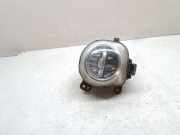 Nebelscheinwerfer links BMW X5 (F15, F85) xDrive 30 d 63177317252