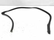 Türgummi links hinten BMW 5er Touring (E61) P1300F