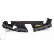 VERKLEIDUNG SCHLOSSTRÄGER NISSAN JUKE (F16) DIG-T 117 623226PA0A