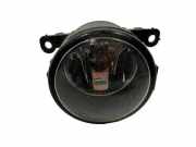 Nebelscheinwerfer links RENAULT SCÉNIC II (JM0/1_) 1.9 dCi (JM0G, JM12, JM1G, JM2C) 89202504 1592