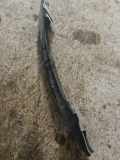 Stoßstangenbalken vorne VW GOLF IV (1J1) 1.9 TDI 1J0806835