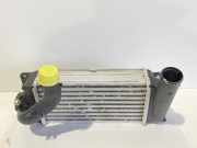 Ladeluftkühler TOYOTA AURIS (_E15_) 1.4 (ZZE150_) JD1270000921