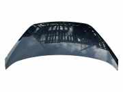 Motorhaube KIA PICANTO (TA) 1.2