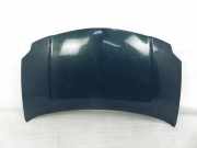 Motorhaube TOYOTA AURIS (_E15_) 1.4 D-4D (NDE150_)