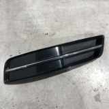 Gitter AUDI A3 (8P1) 1.6 TDI 8P0807681T