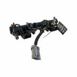 Einspritzleiste Citroen C4 Grand Picasso (U)