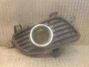 Gitter Grill vorne rechts MERCEDES-BENZ A (W169) A 150 (169.031, 169.331) a1698850822 1698850822