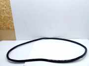 Dichtung für Koffer-/Laderaumklappe Toyota Auris Touring Sports (E180)