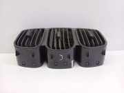 Ziergitter Chrysler Grand Voyager V (RT) 05009038AA