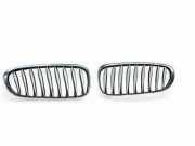 Vorderer oberer Gitter BMW Z4 Roadster (E85) 2.2 i