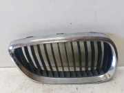Vorderer oberer Gitter BMW 3 Coupe (E92) 320 i 1020250607