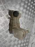 Ausgleichsbehälter RENAULT LAGUNA III (BT0/1) 2.0 dCi (BT01, BT09, BT12, BT1S) 217100014R