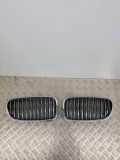 Vorderer oberer Gitter BMW 5 Touring (F11) 518 d 7261356