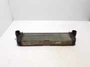 Ladeluftkühler Mercedes-Benz Vito/Mixto Kasten (W639) A6395011301