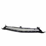 Gitter vorne unten MERCEDES-BENZ AMG GT (C190) GT (190.377) A1908850254