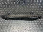 Grill Windlauf VW Arteon (3H) 3G0806239