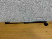 Gasfeder für Motorhaube Lexus RX 4 (L2) 534400E070