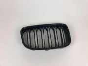 Vorderer oberer Gitter BMW 1 (F20) 120 d