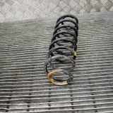 Fahrwerksfeder hinten rechts