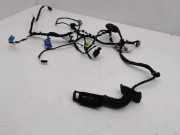 Kabel Tür vorne rechts VW TIGUAN (AD1) 1.5 TSI 5NC971558