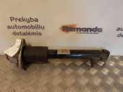 Stoßdämpfer hinten links BMW X5 (E70) xDrive 35 d 14941510
